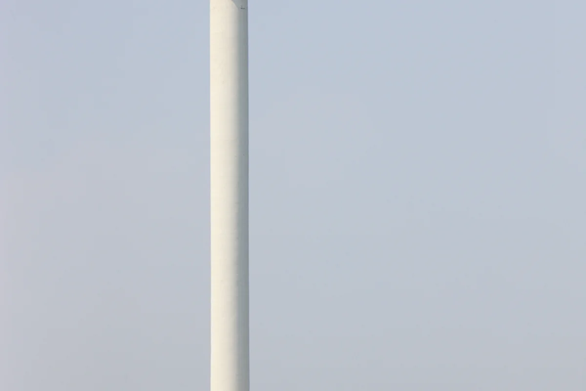 용두산공원: 서면 은행나무 명소 - 서면여행 여행