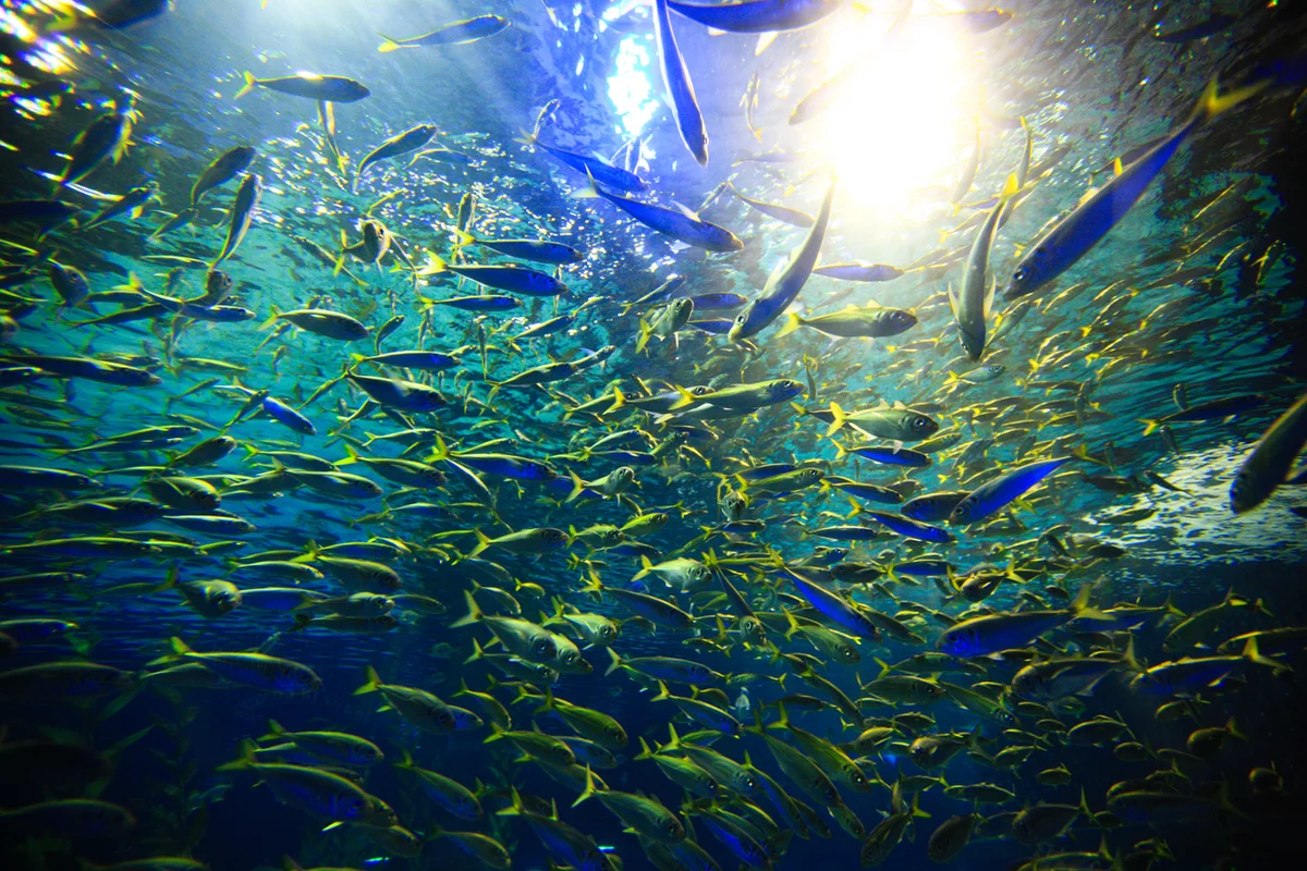 부산아쿠아리움 주차장 (출처 : 한국관광공사)