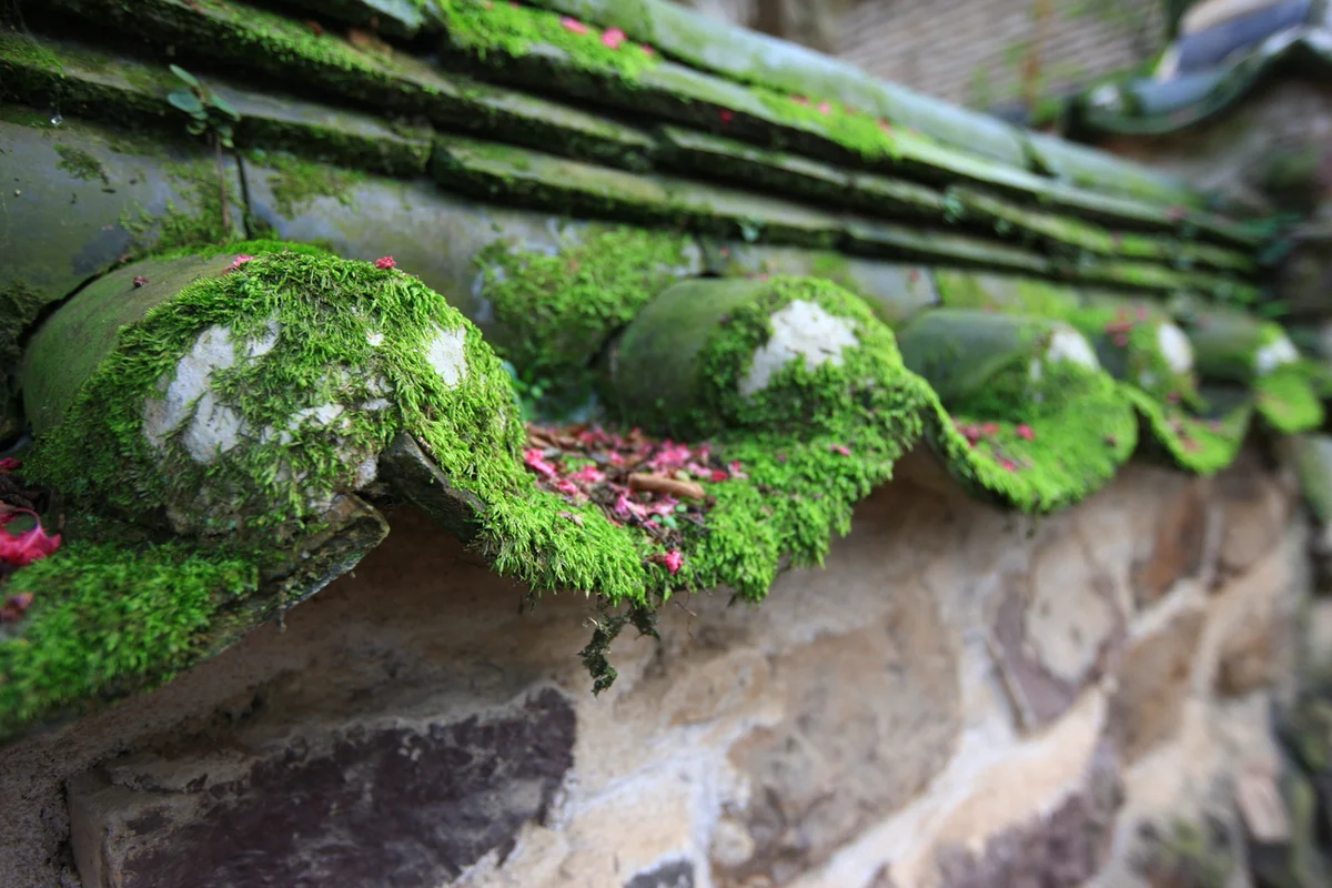 병산서원 - 안동여행 여행