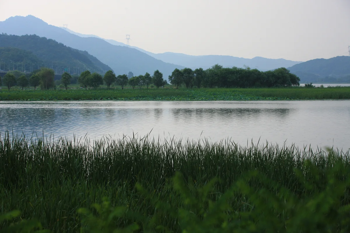 양수리딸기체험농장 - 두물머리 여행