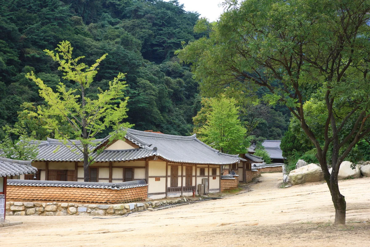 문경오미자테마공원 - 문경여행 여행