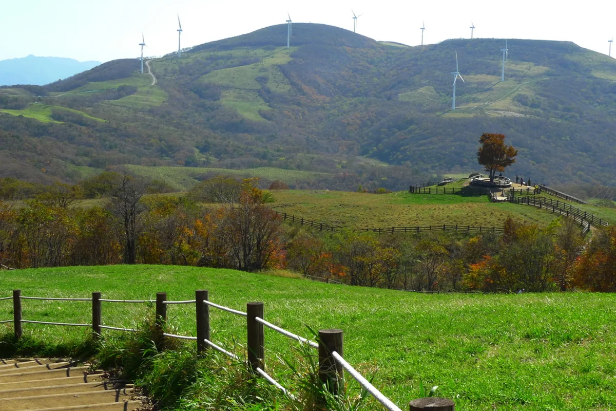삼양 여행지 추천 (출처 : 한국관광공사)