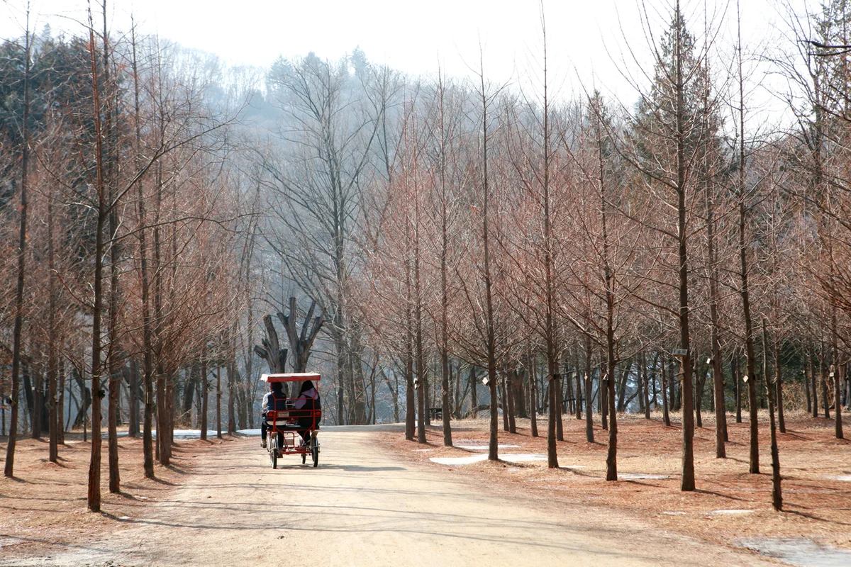 가평 까사노블풀빌라 펜션 - 남이섬 여행