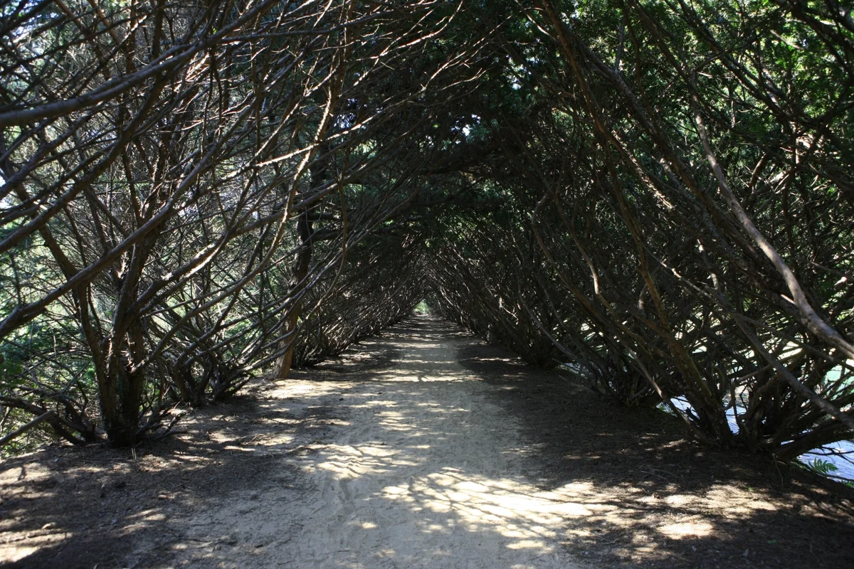 방화동자연휴양림 - 장수여행 여행