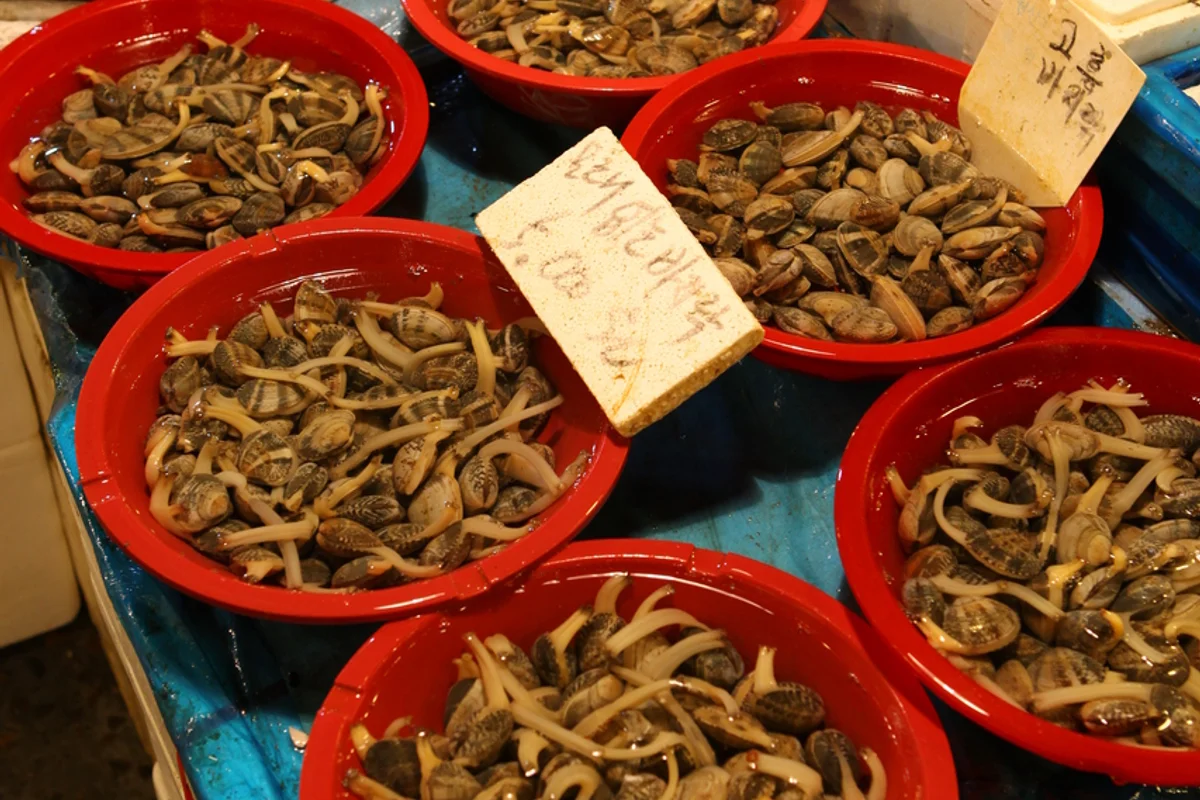 노량진수산시장 현대화된 공간 - 노량진수산시장 여행