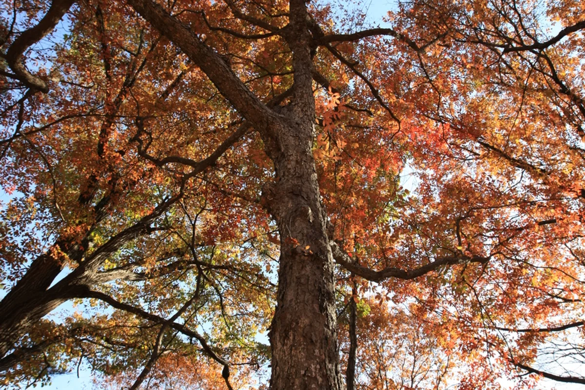 신구대학교식물원 - 성남데이트 여행