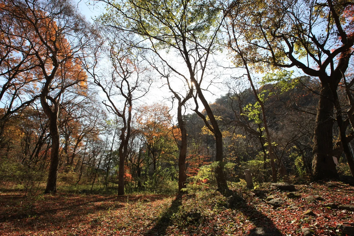 분당중앙공원 - 성남데이트 여행