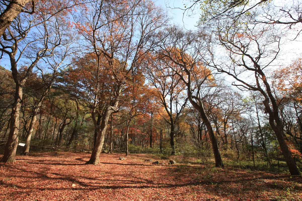 한국잡월드 - 성남데이트 여행