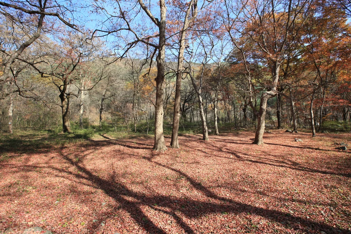 동천자연식물원 - 성남여행 여행