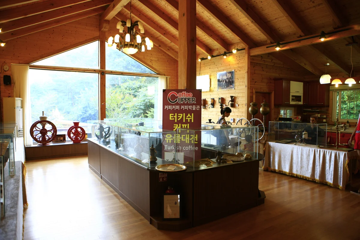 테미공원 - 대전벚꽃 여행