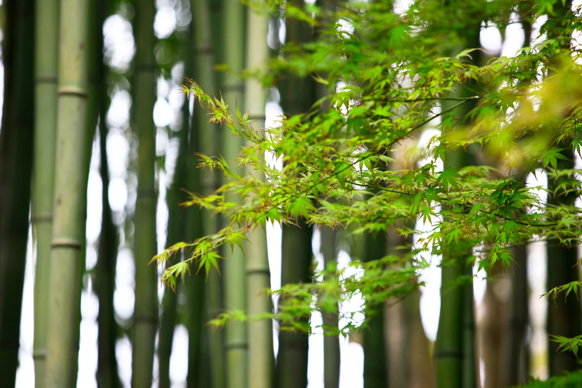 범어사 - 서면여행 여행
