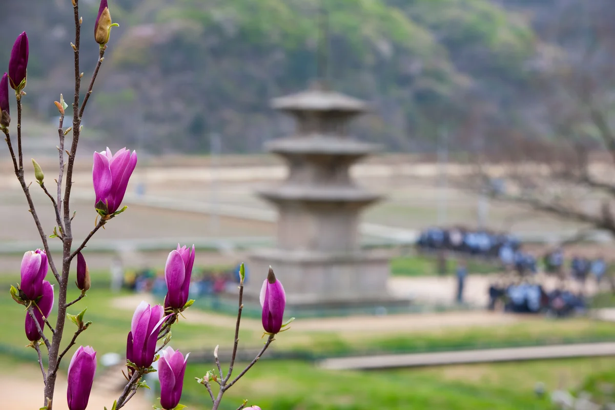 감은사지 근처 카페 (출처 : 한국관광공사)