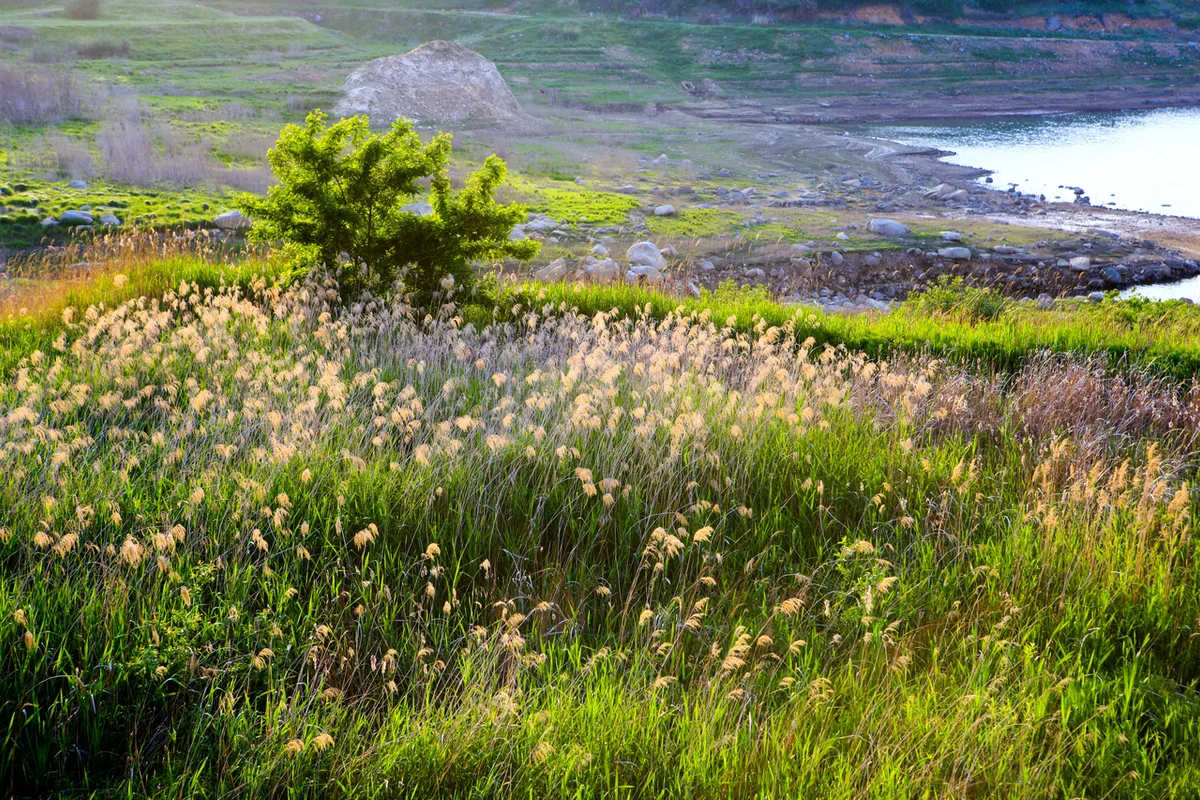 합천호, 합천군 드라이브의 시작점 - 합천군 여행