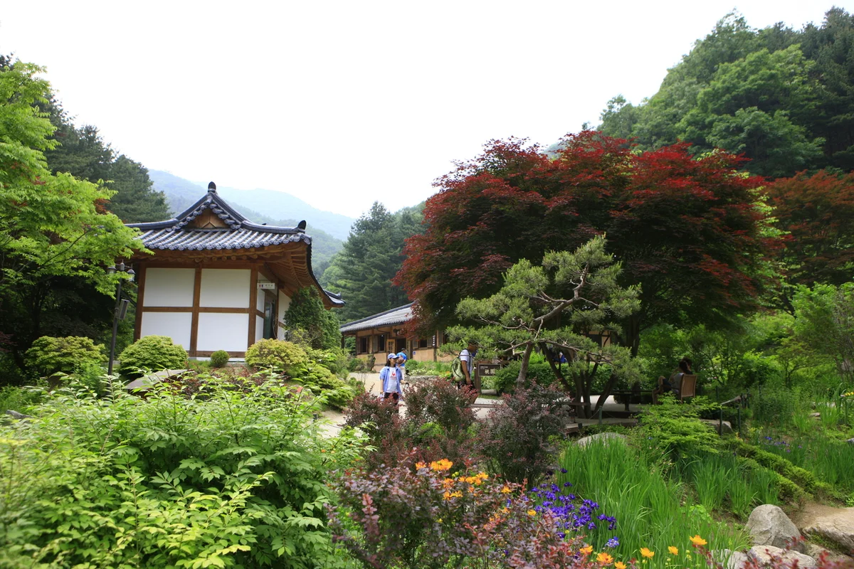 아침고요수목원 한국정원 - 아침고요수목원 여행