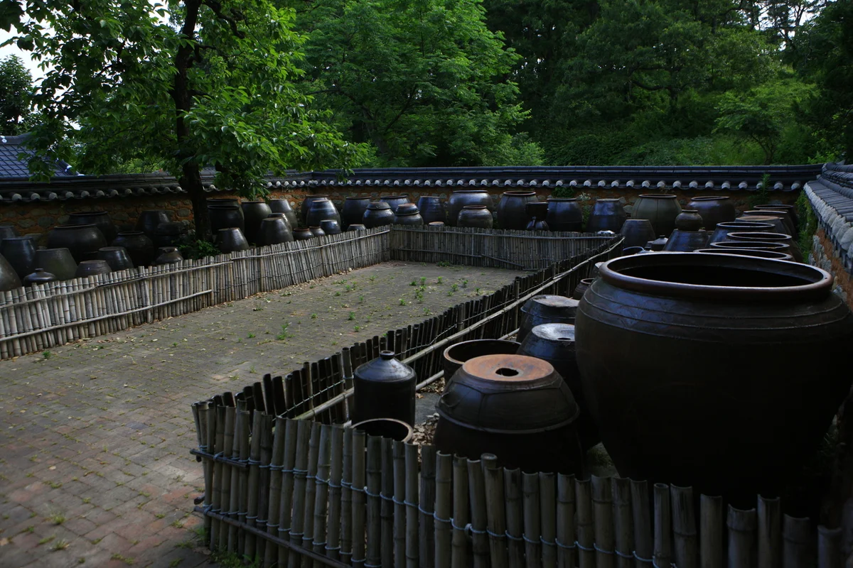 진도 수상 레저 (출처 : 한국관광공사)