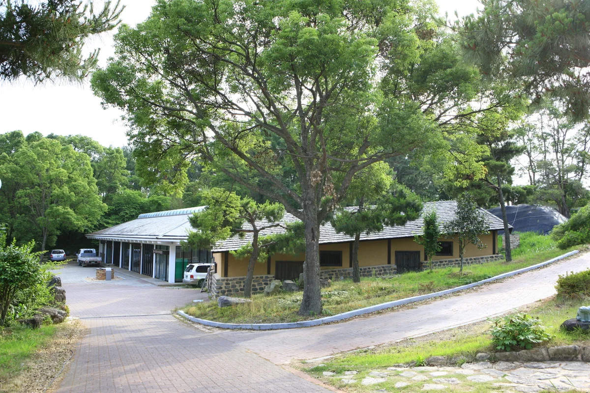 진도개테마파크 - 진도여행 여행