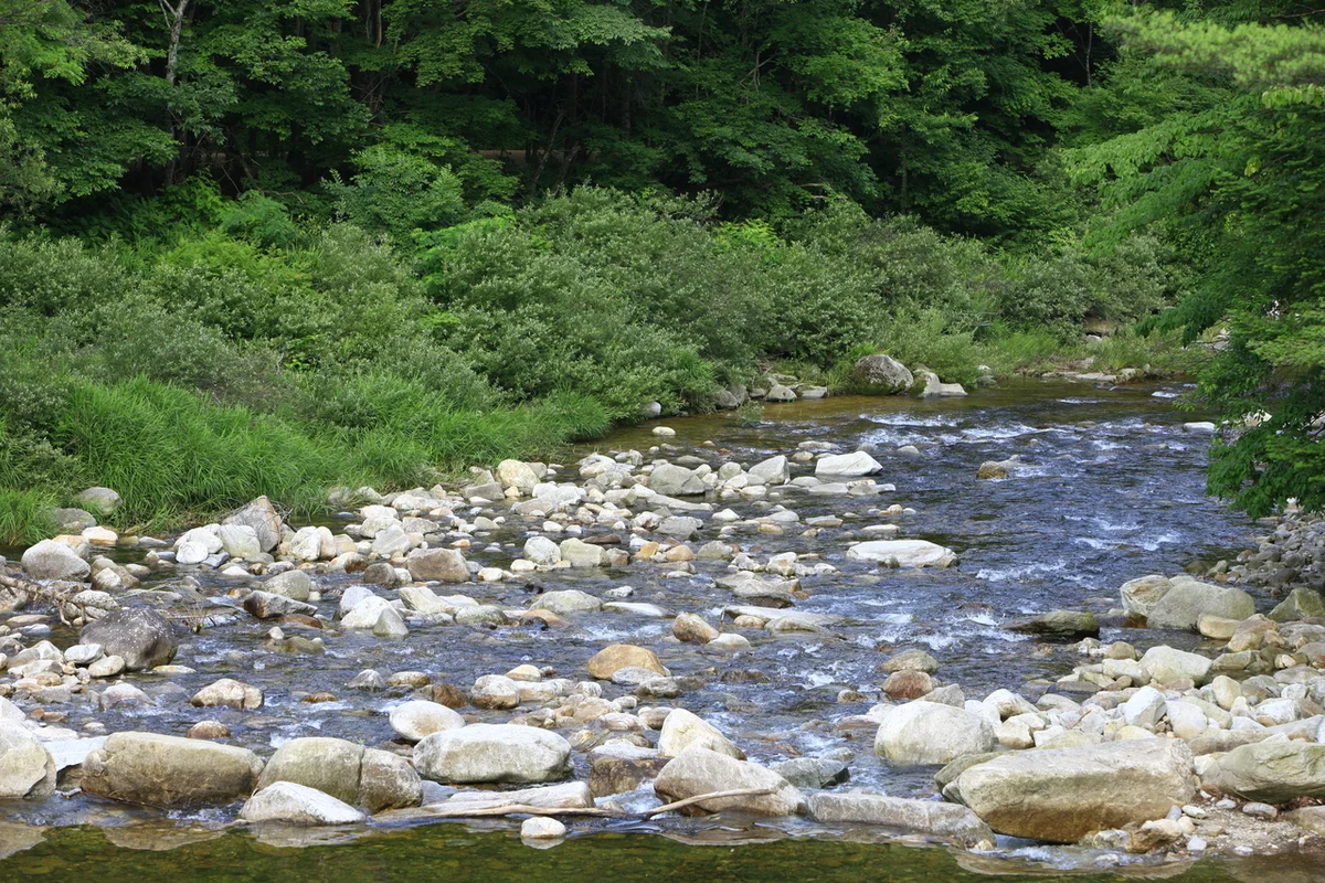 월정사 - 월정사 여행