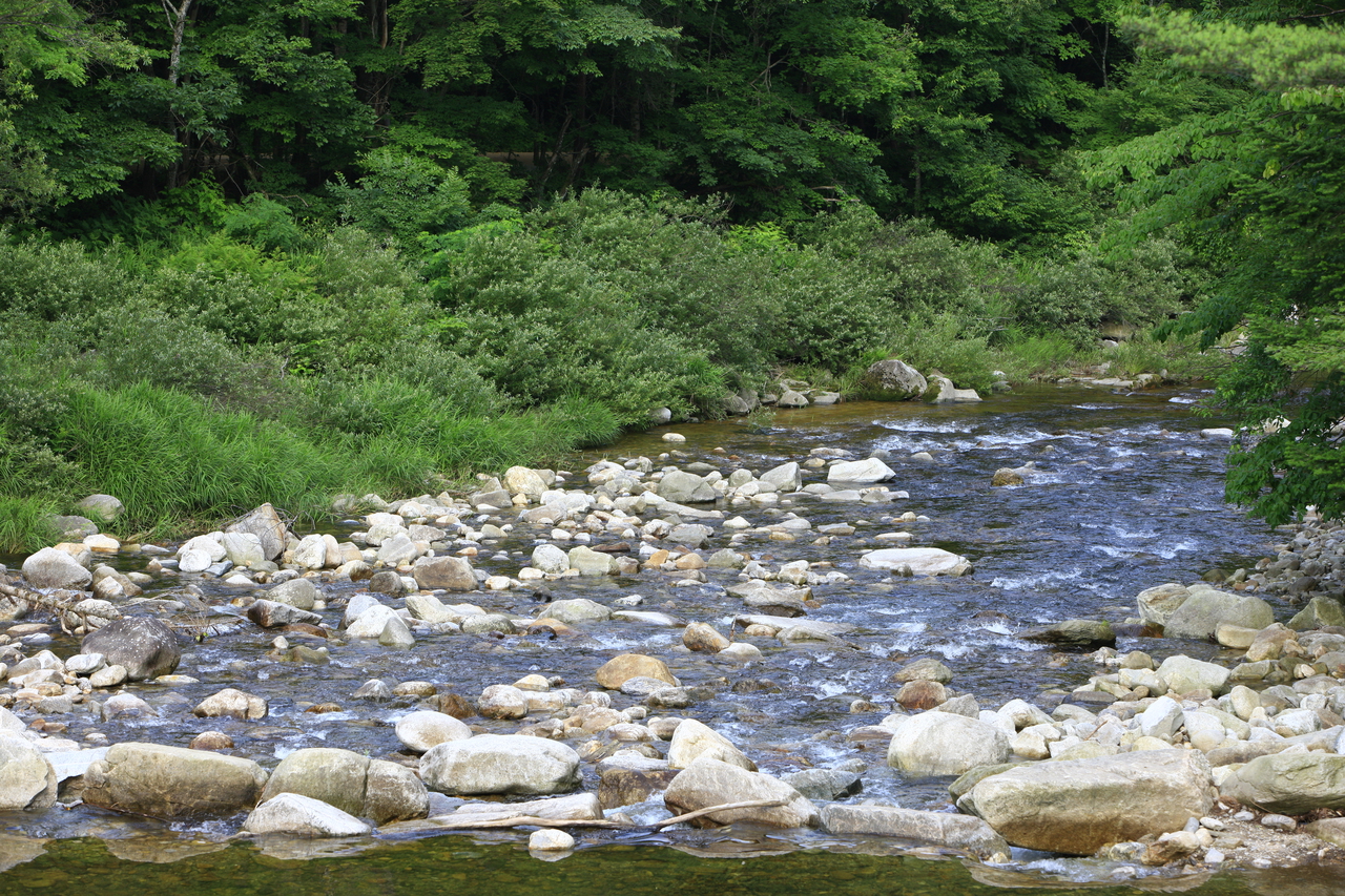 월정사 비오는 날 가볼만한곳 (출처 : 한국관광공사)