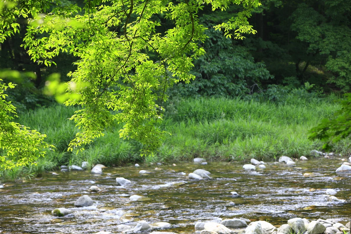 월정사, 비오는 날 가볼만한곳 - 월정사 여행