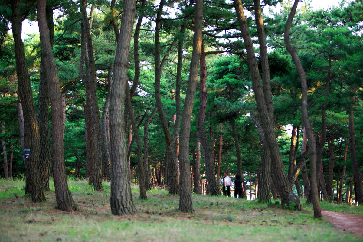 영화[캠핑]촬영지 - 송정 여행