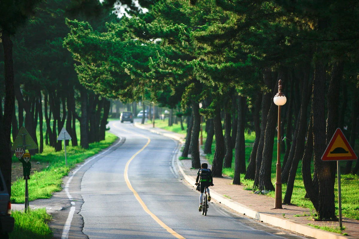 해운대블루라인파크 송정정거장 - 송정 여행