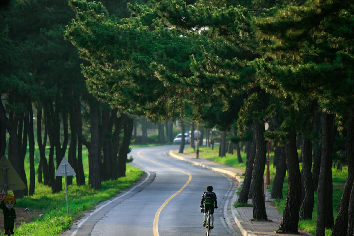 공수어촌체험휴양마을 - 송정 여행