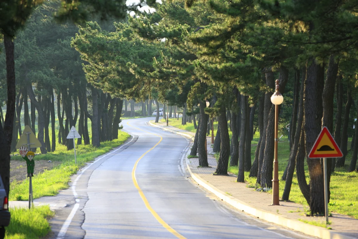 송정공원 - 송정 여행