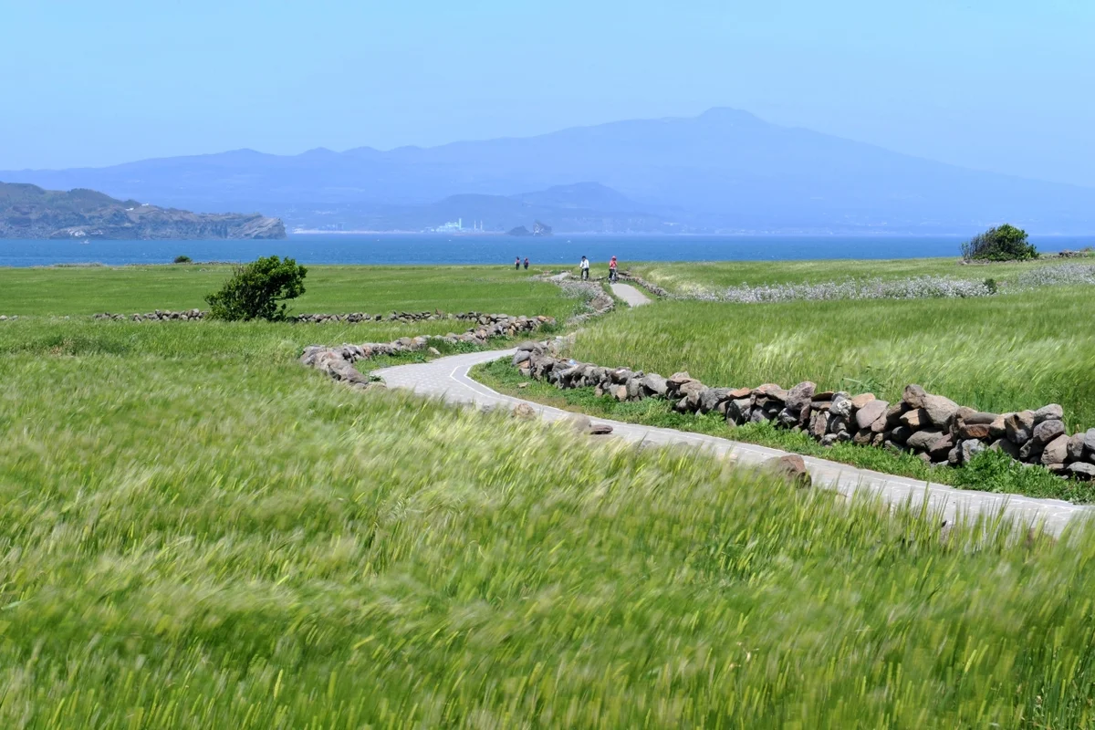 동탄 봄 가볼만한곳 (출처 : 한국관광공사)