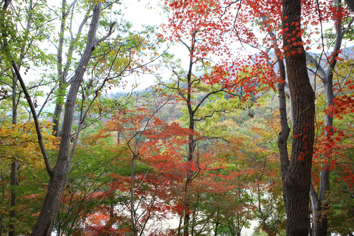제암산자연휴양림 - 보성군 여행