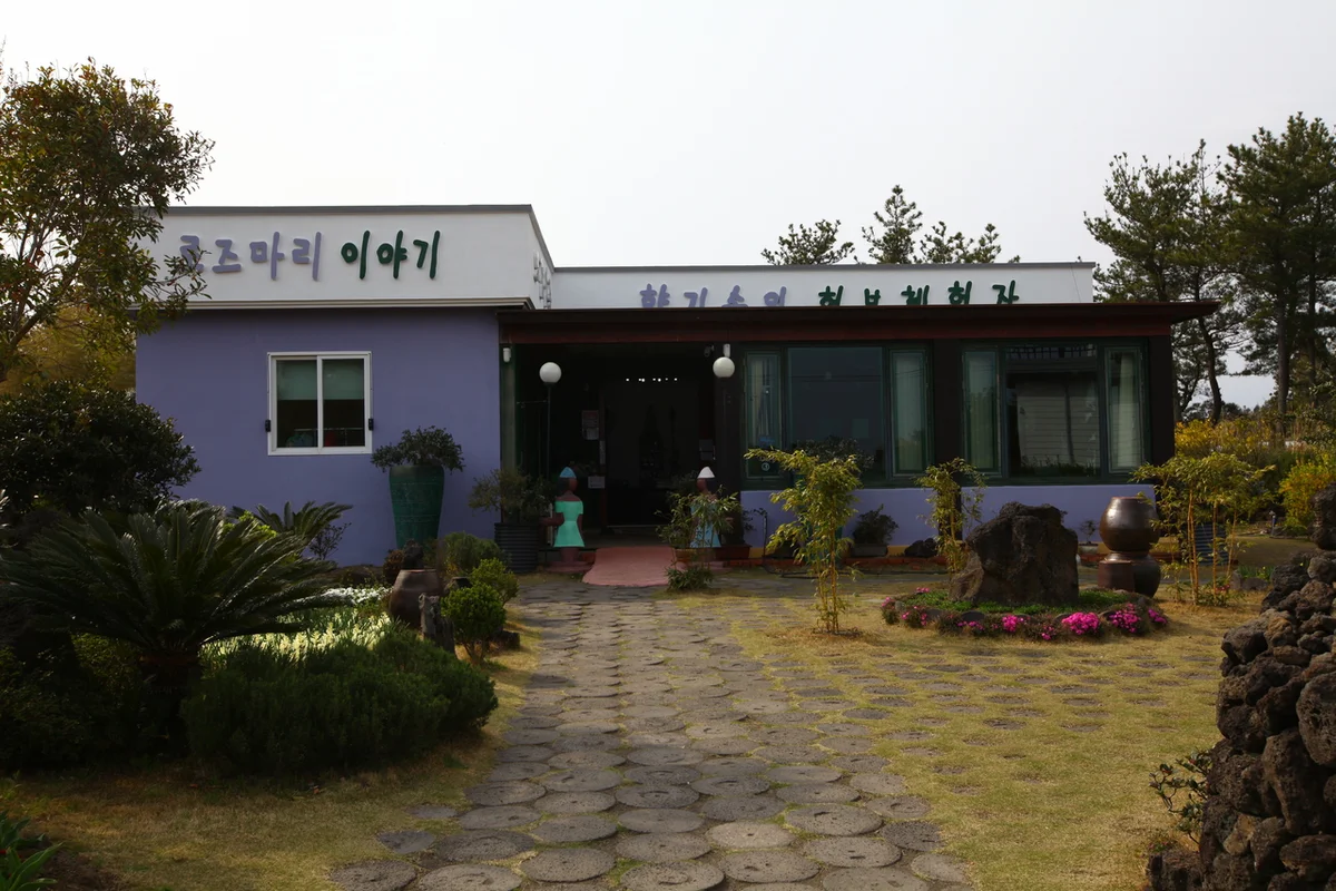 빛의 섬 루미버스 - 서귀포야간명소 여행