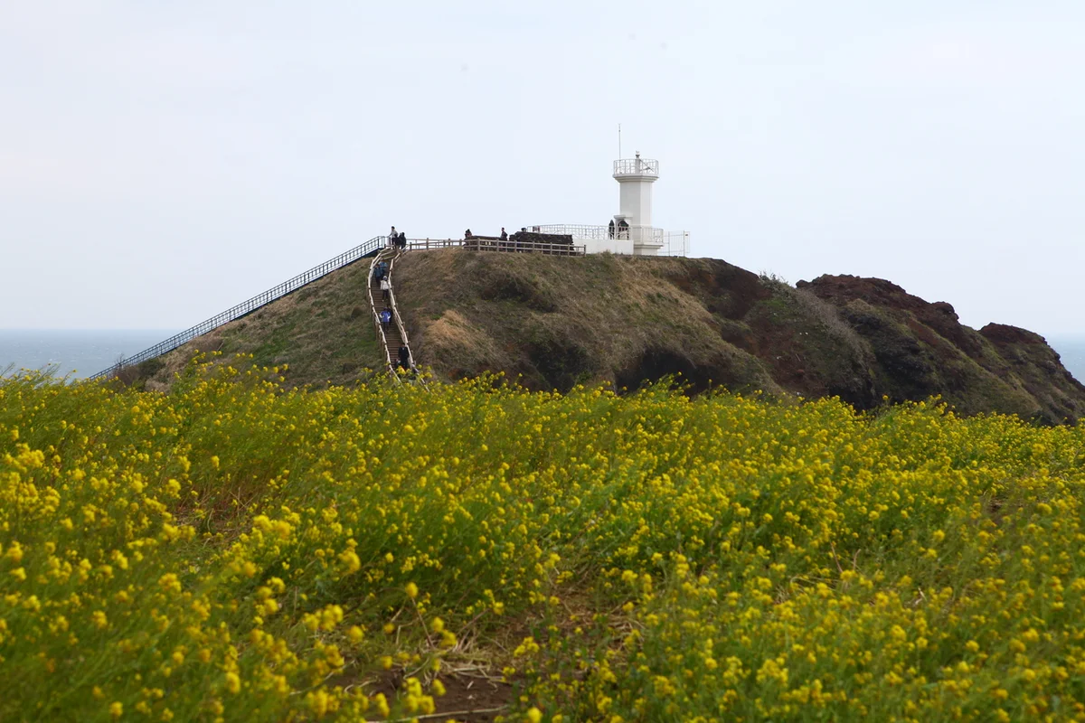 섭지코지 - 6월제주도여행 여행