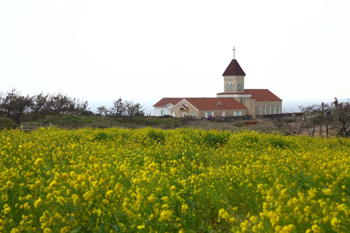 섭지코지: 입장료 부담 없는 제주 동부의 절경 - 섭지코지 여행