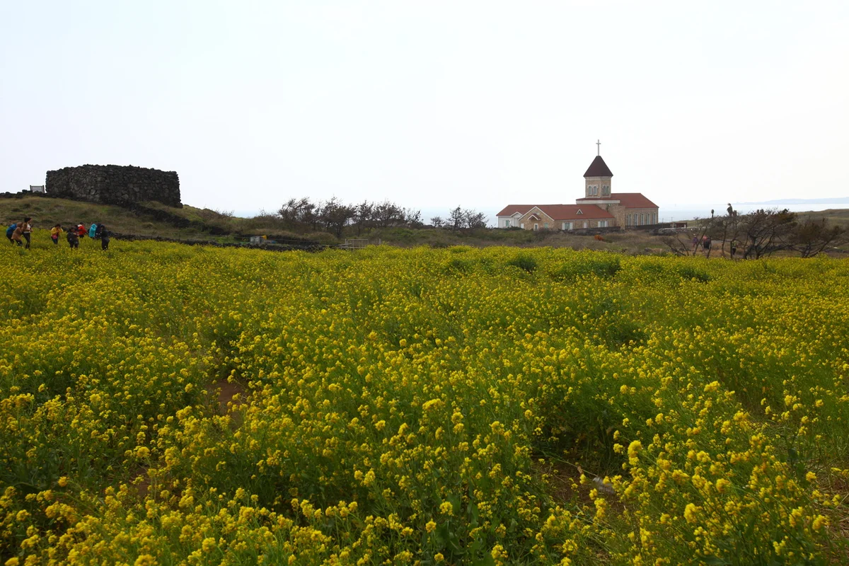 빛의 벙커 - 섭지코지 여행