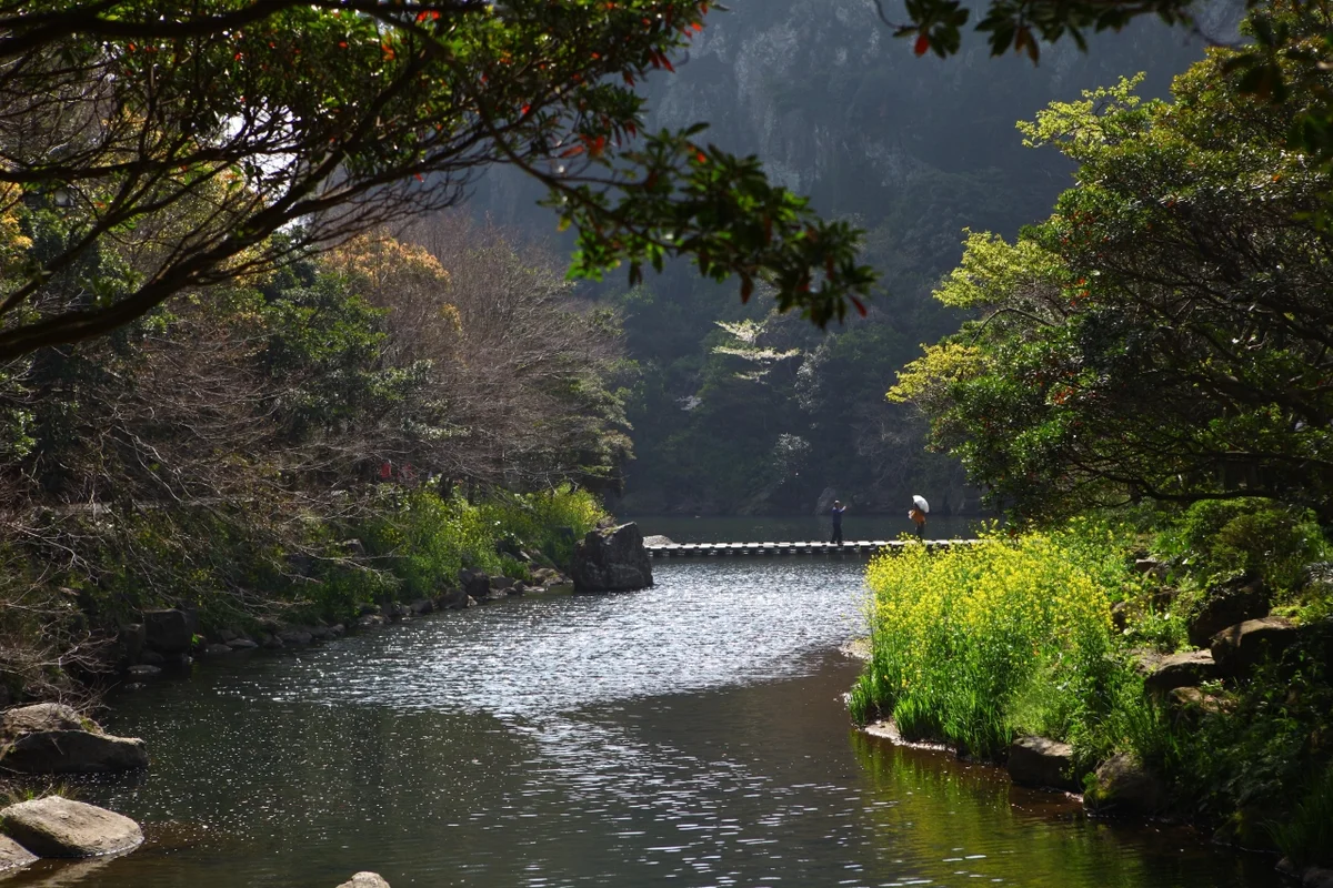 천지연 (출처 : 한국관광공사)