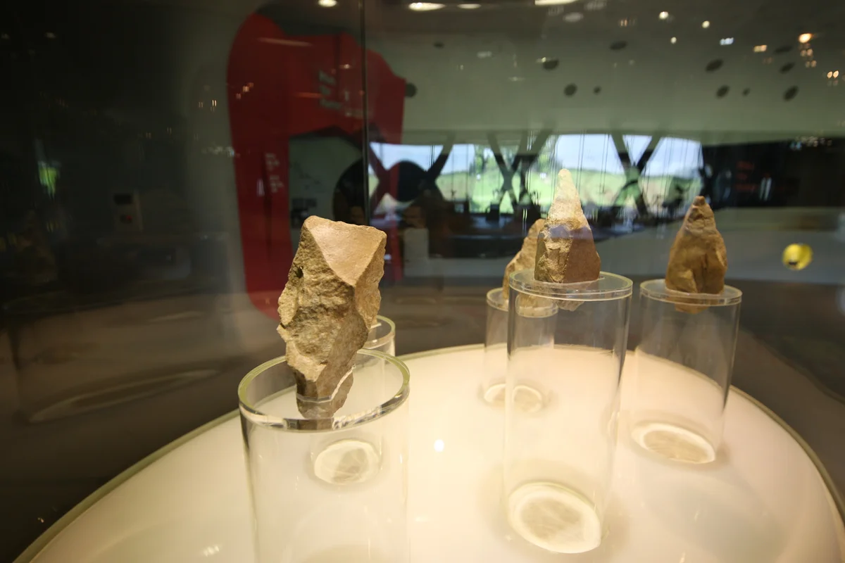 전곡선사박물관 - 연천군 여행