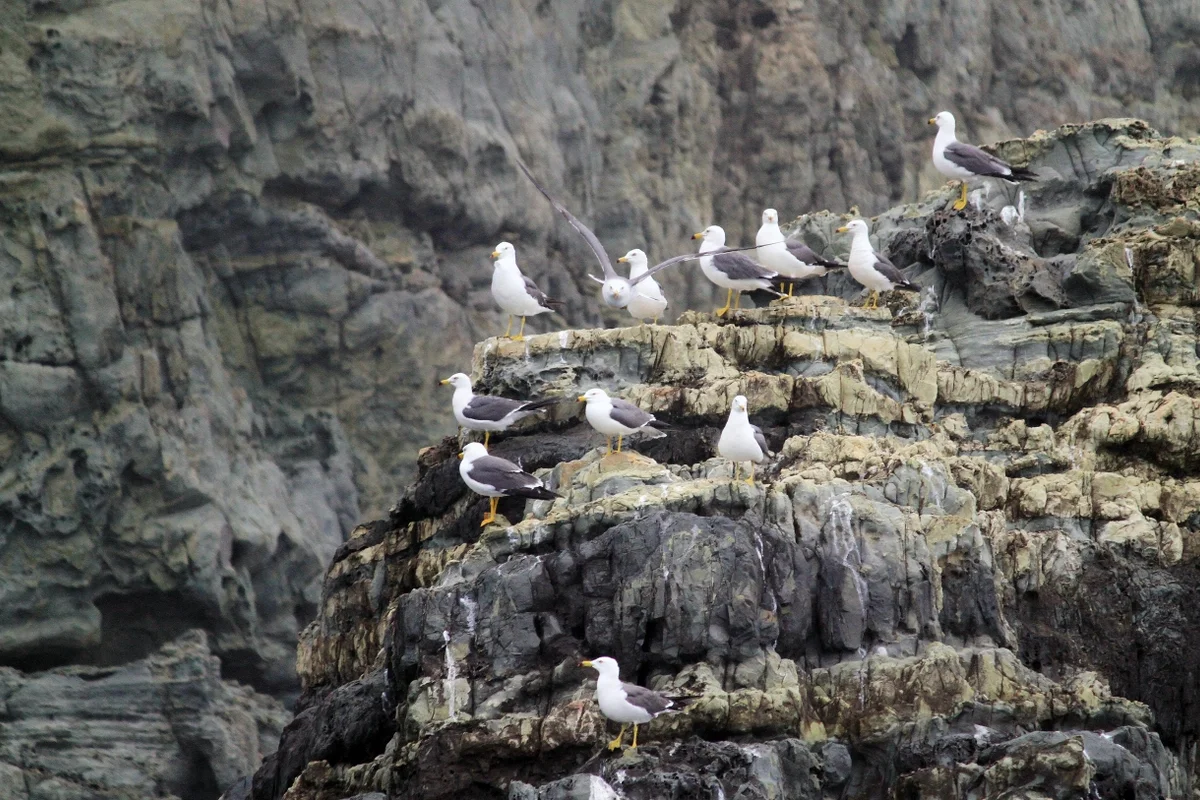 해금강 후기 (출처 : 한국관광공사)