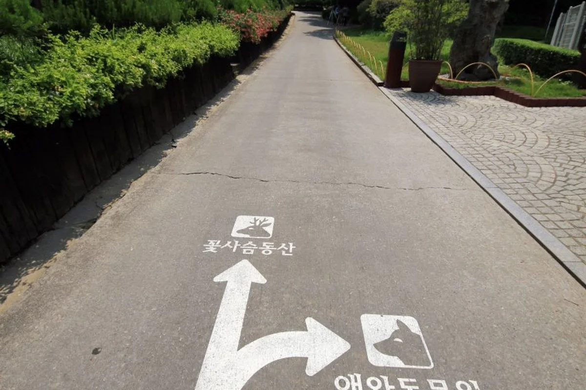 베어트리파크 - 세종시 여행