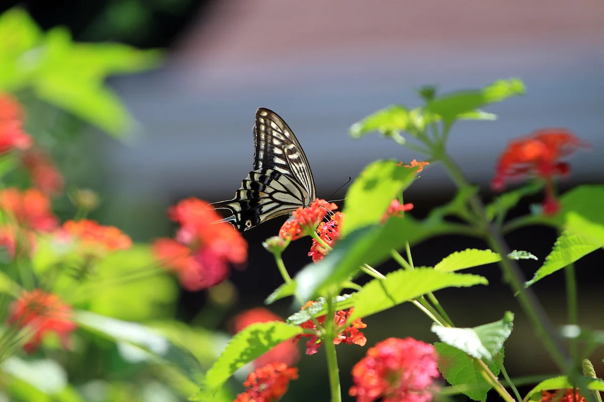 허브아일랜드 - 포천여행 여행