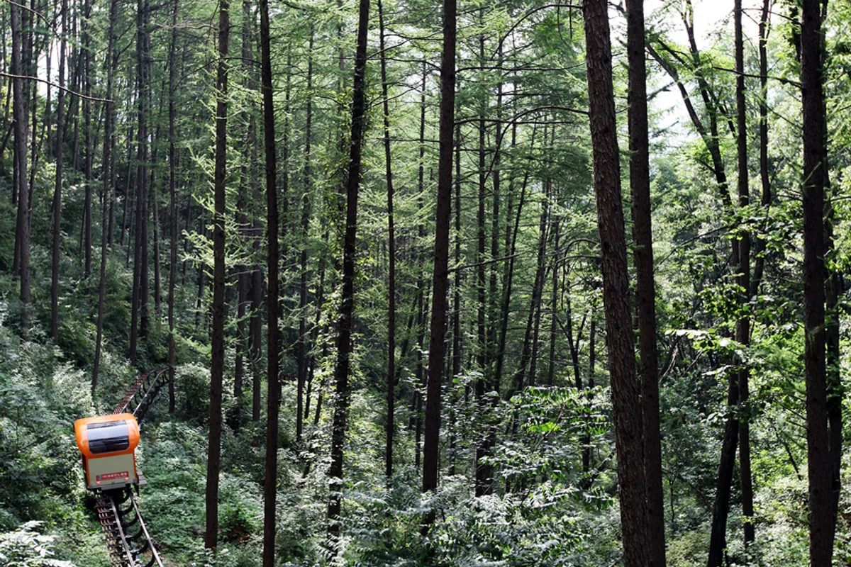 청풍호 2박3일 필수 코스: 청풍호반케이블카 - 청풍호 여행