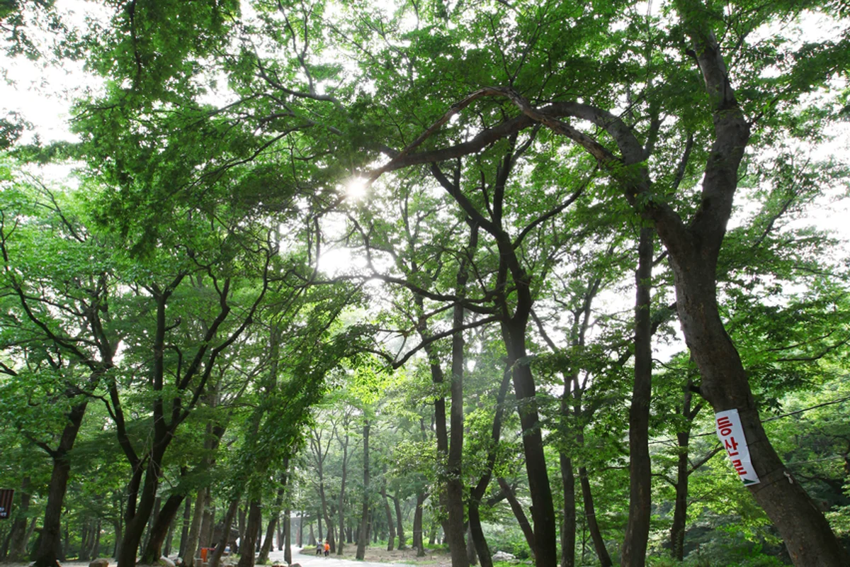 표충사 - 영남알프스 여행