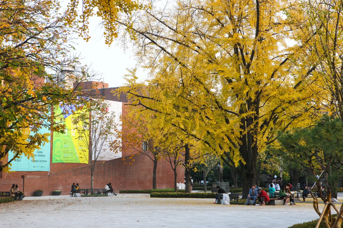 마로니에공원 - 대학로 여행