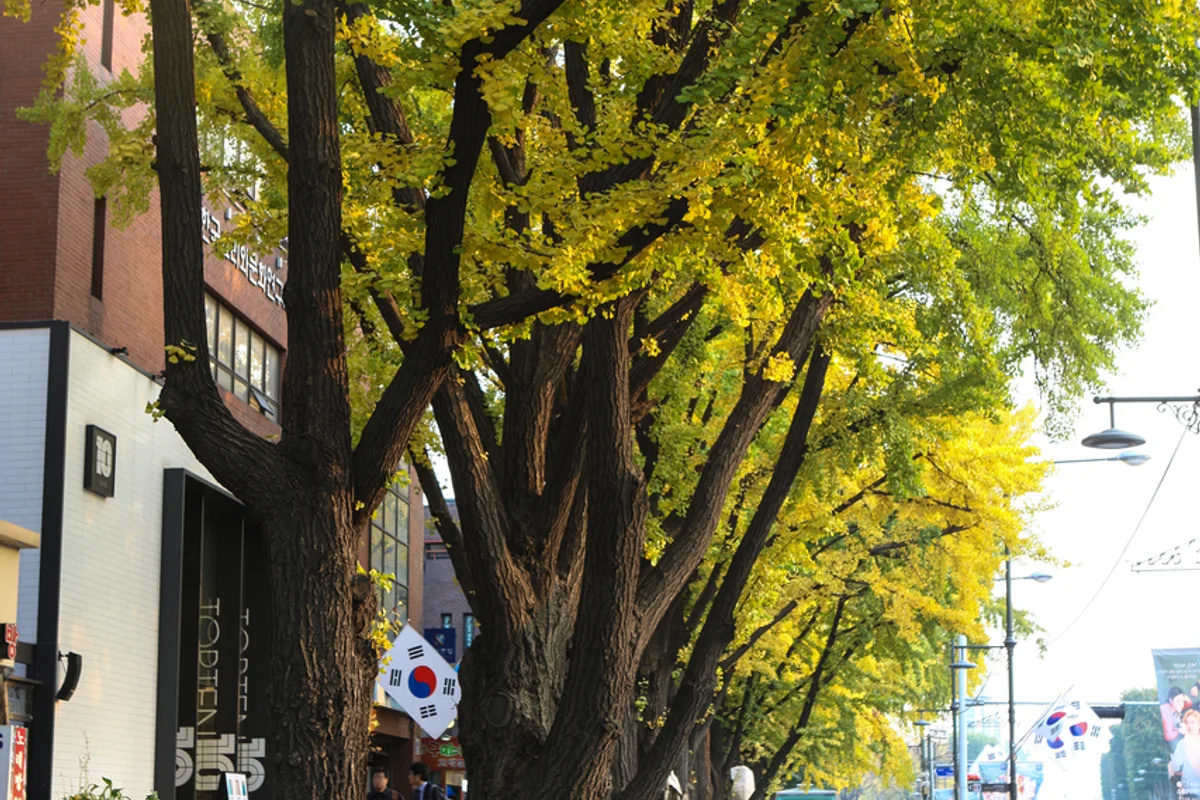 모야 초등 창의 작업실 - 대학로 여행