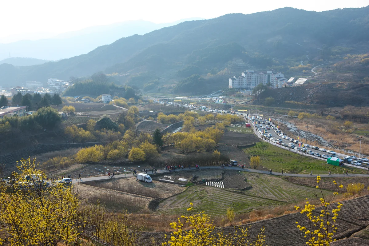 산수유사랑공원 - 구례여행 여행