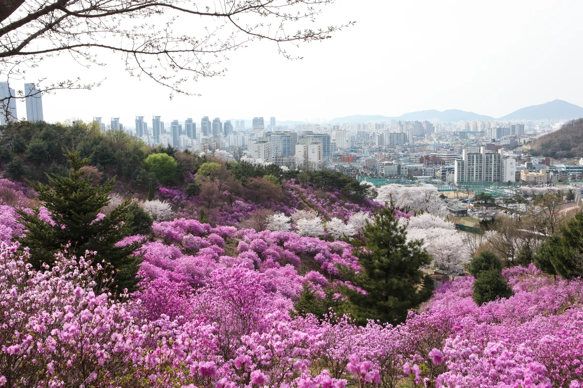 플레이아쿠아리움 부천 - 부천여행 여행