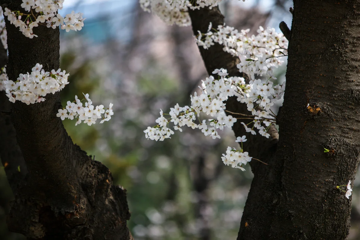 부천 2박3일 (출처 : 한국관광공사)