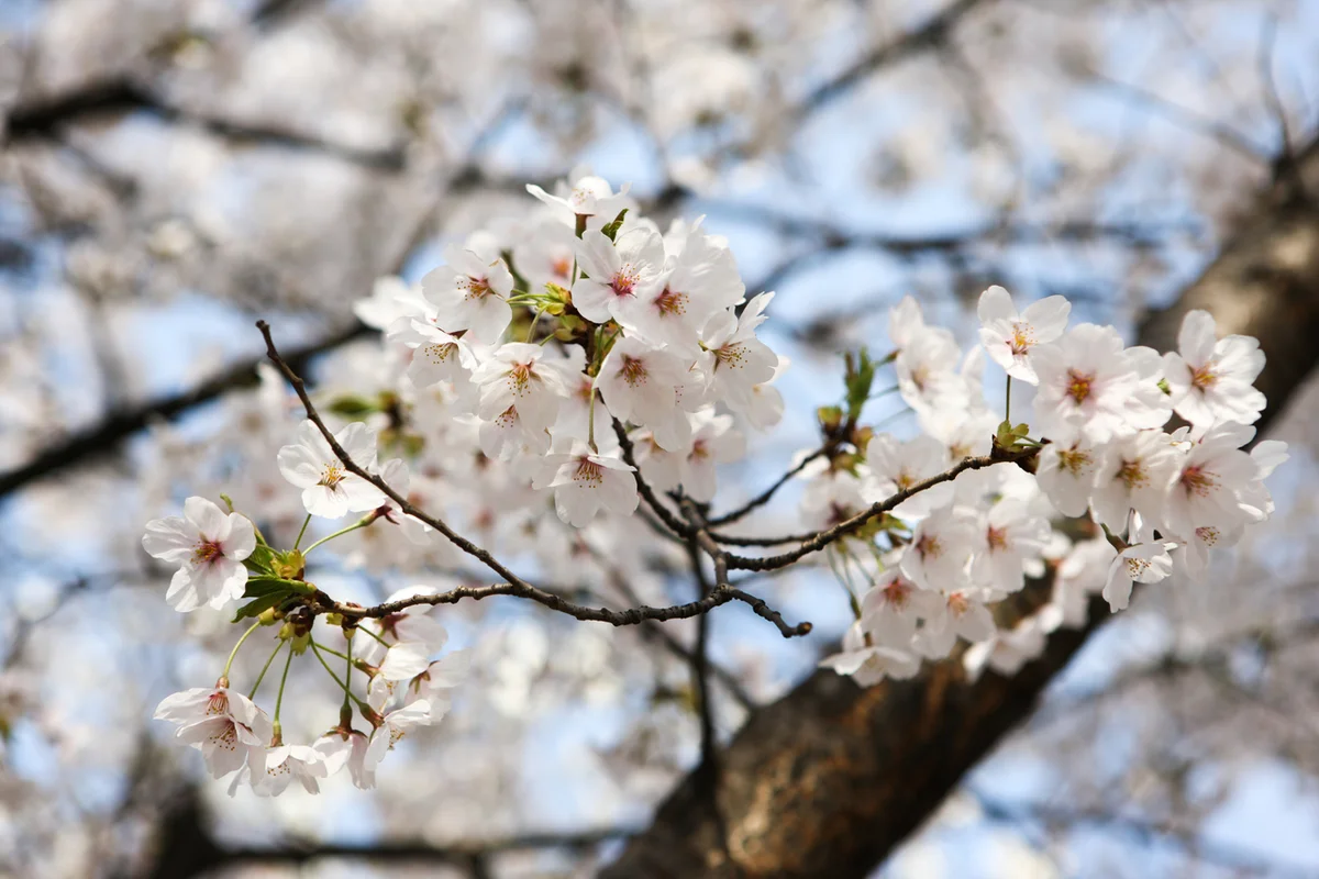 부천자연생태공원 - 부천여행 여행