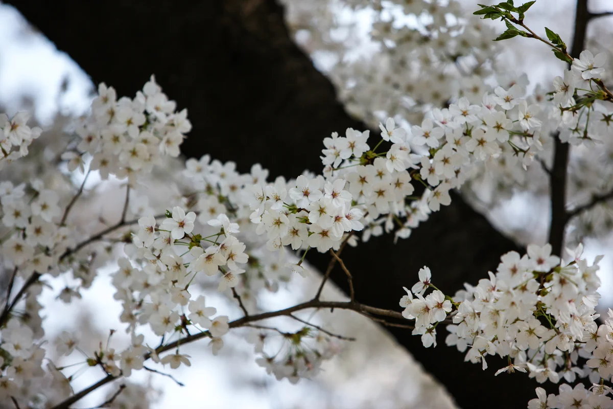 상동호수공원 - 부천여행 여행