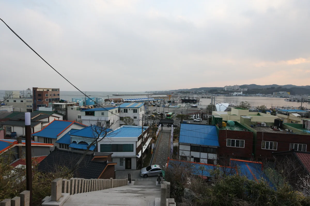 환호공원식물원 - 포항여행 여행