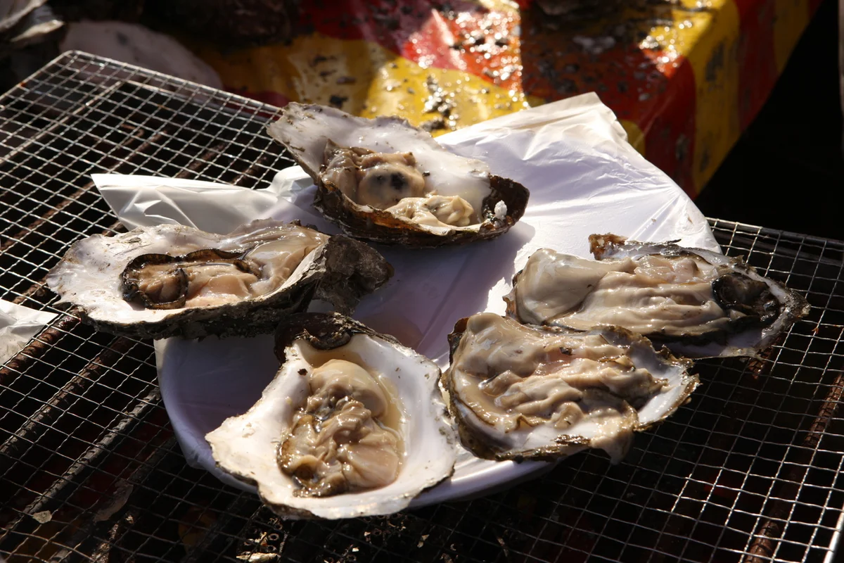 하동군 관광 (출처 : 한국관광공사)