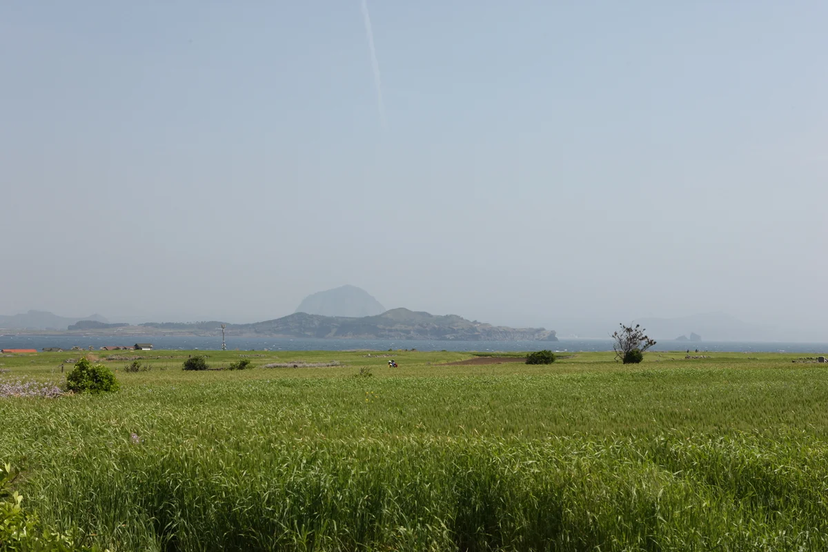 주렁주렁 동물원 동탄점 - 동탄여행 여행